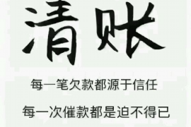 龙海为什么选择专业追讨公司来处理您的债务纠纷？